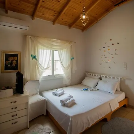 D&p House