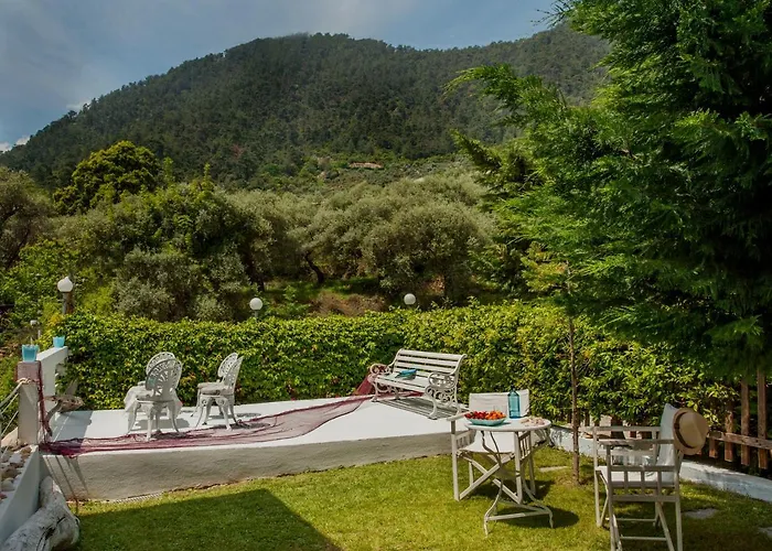 D&p House クリッシ・アモウディア